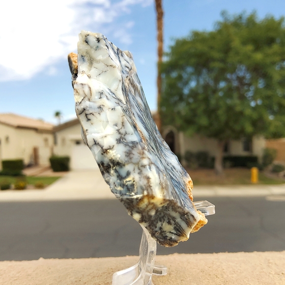 Semi Polished Beautiful Dendritic Opal Slab - Picture 16 of 17